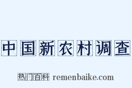 中国新农村调查是什么意思的图片